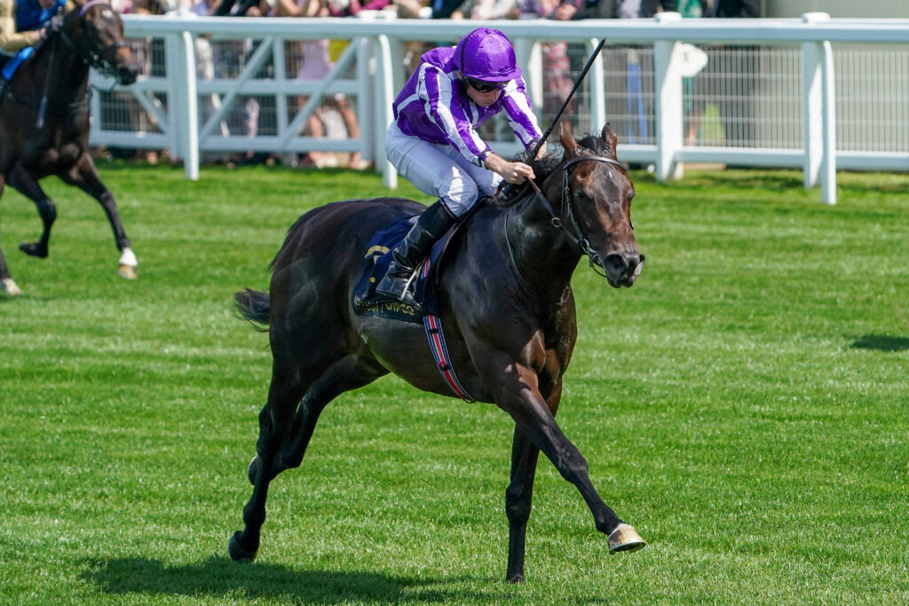 Aidan O’Brien 2000 Guineas Pair To Be Supplemented After Computer GLITCH