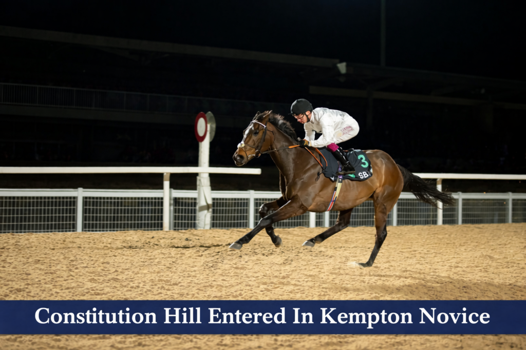 Constitution Hill