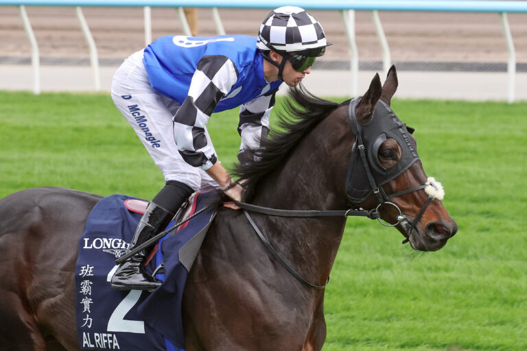 2026 Dubai Gold Cup Runners Guide: European Stayers Clash Over 2 Miles