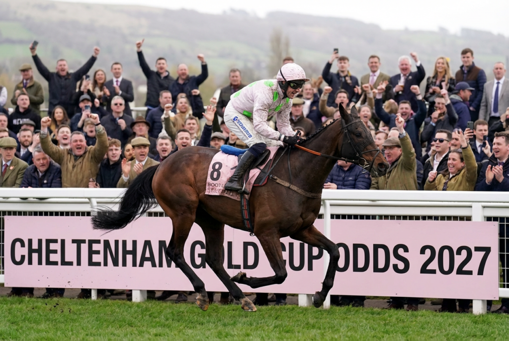 Cheltenham Gold Cup Betting Odds 2027 - Gaelic Warrior