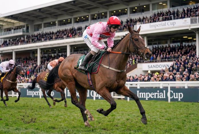 Imperial Cup Tips and Trends: Can Dante ‘Go’ In Again at Sandown?