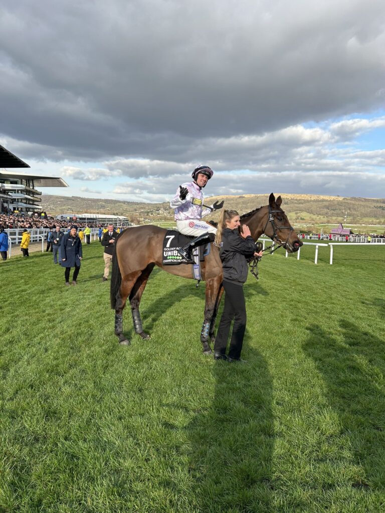Champion Hurdle Runners 2026 – The Main Players For Opening Day Showdown