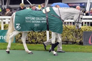 Neptune Collonges Won The Grand National in 2012 - The Last Grey Horse To Land The Race 