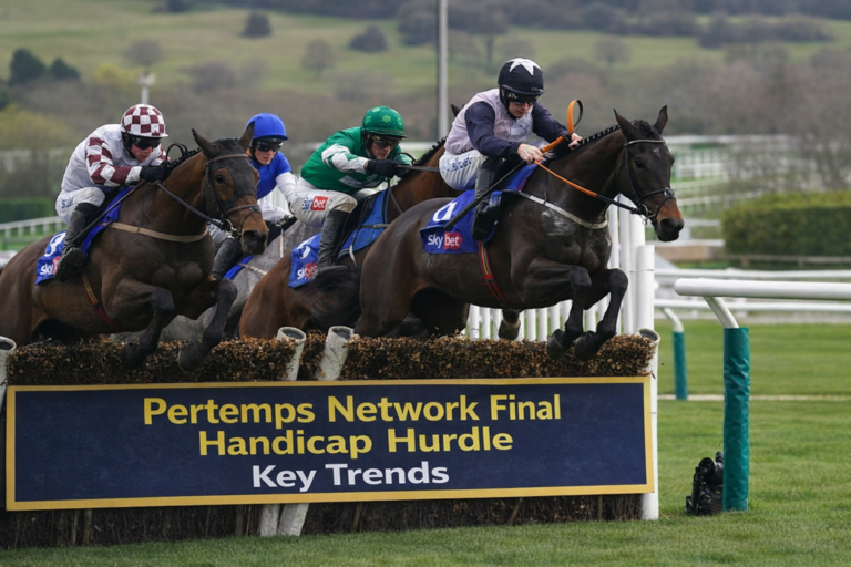 Pertemps Network Final Handicap Hurdle Trends