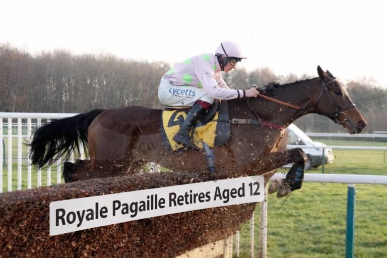 Two-Time Betfair Chase Winner Royale Pagaille Retires Aged 12