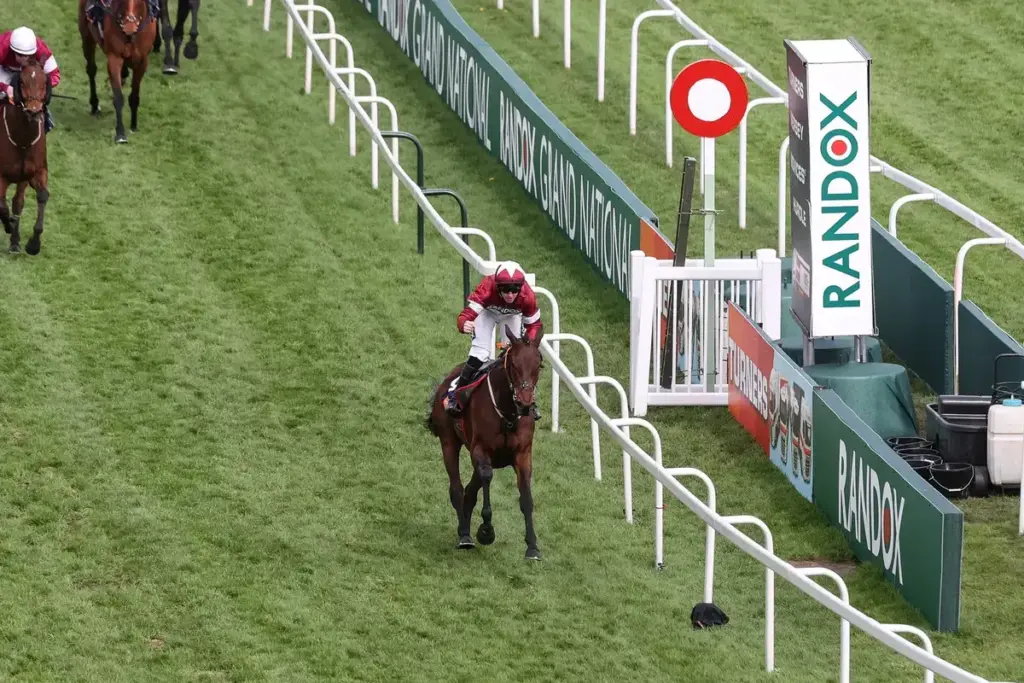 Brighterdaysahead Set For Chasing Campaign – Which Races Could She Run In?