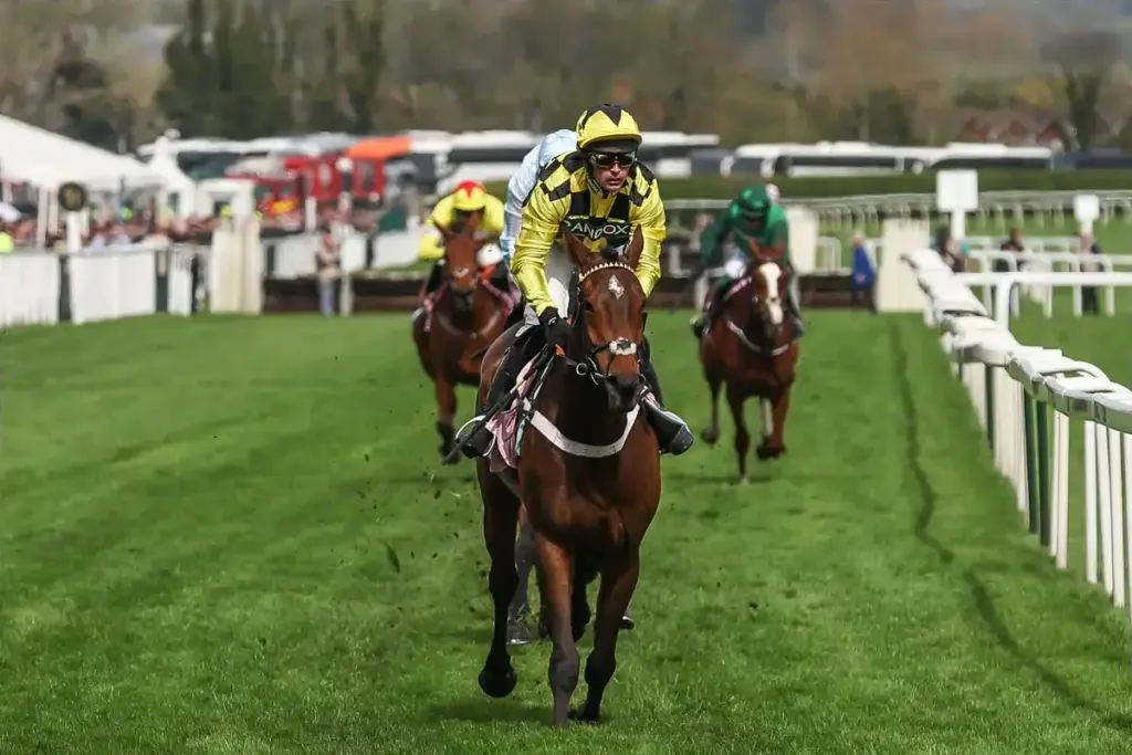 Three-Time Grade One Winner Sir Gino Dies Aged Six