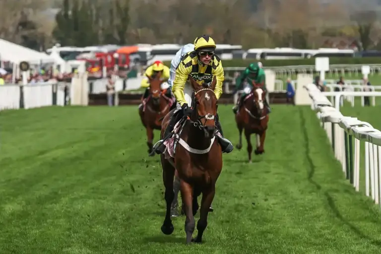 Three-Time Grade One Winner Sir Gino Dies Aged Six