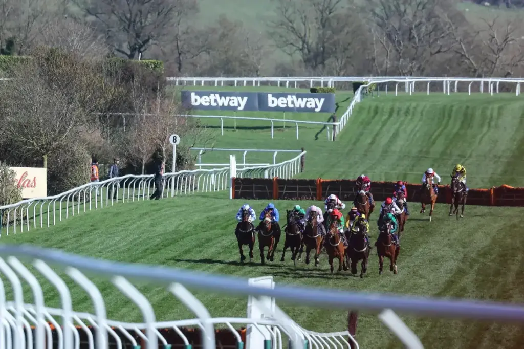 Stayers’ Hurdle Runners 2026 Headed By Former Winner Teahupoo