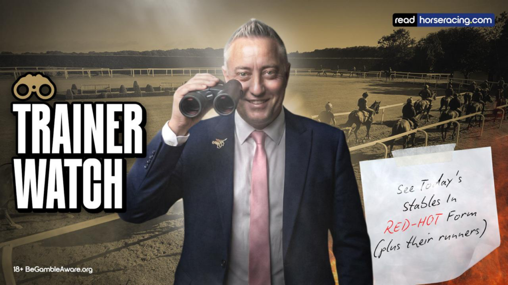 ANDY NEWTON - Horse Racing Trainer Stats