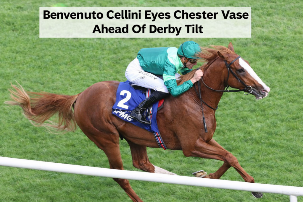 Benvenuto Cellini, real horse image for Irish Derby Timeform rating story