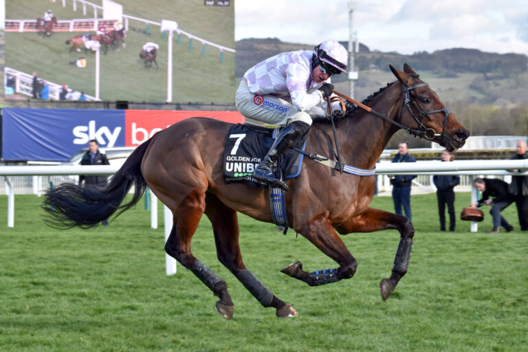 Golden Ace Punchestown