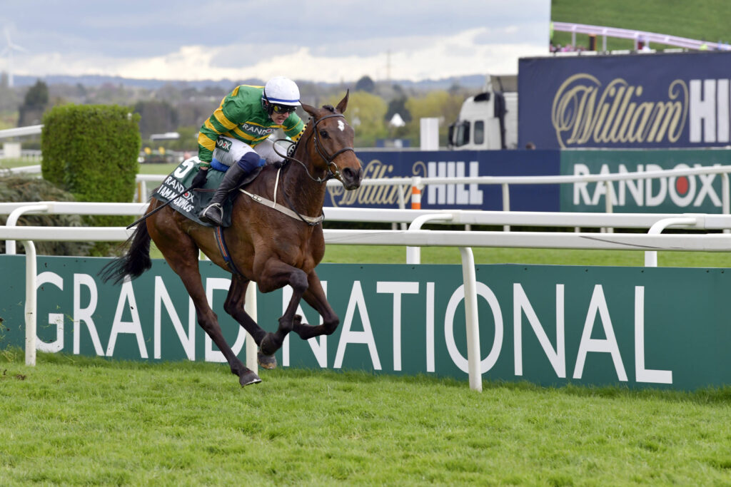 Grand National Favourite