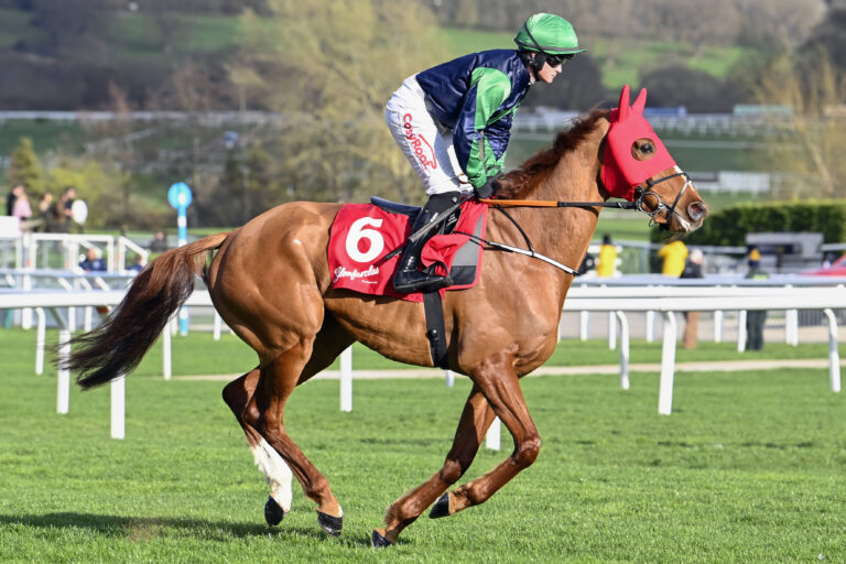 Grand National Reserves