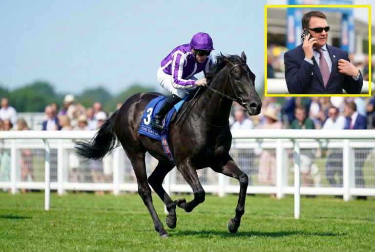 Hawk Mountain racehorse, a Ballydoyle entrant in the German Derby mix for Aidan O'Brien