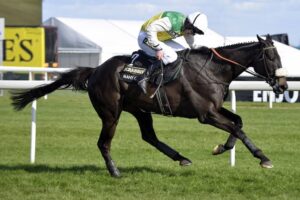 Many Clouds - Grand National Winner 2015