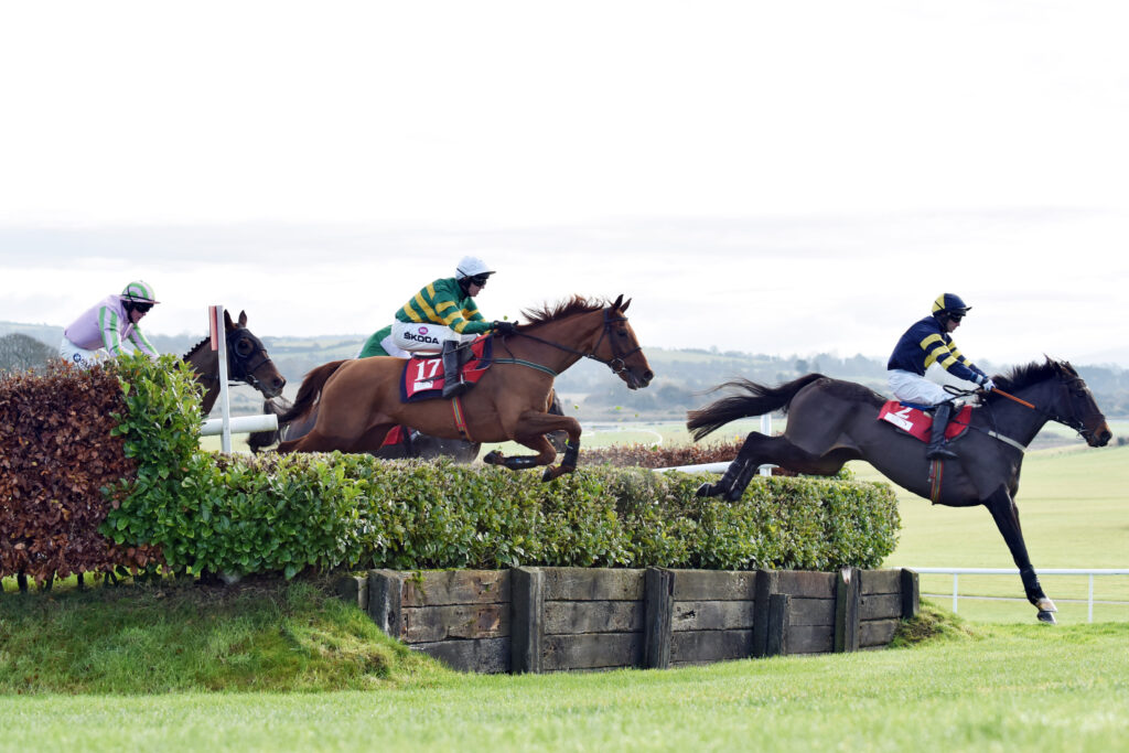 Punchestown Festival