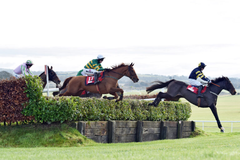 The Odds-On Test: Exceptionally and the Punchestown Fillies Maiden Preview
