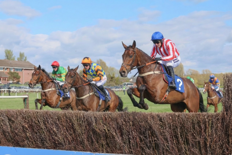 Scottish National Favourite