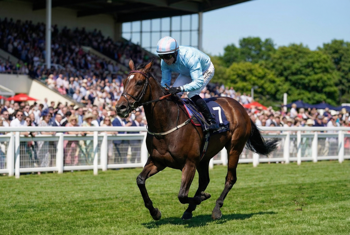 2026 Irish Grand National Result: Soldier In Milan ‘Tanks Home’ To Land Mega Fairyhouse Gamble