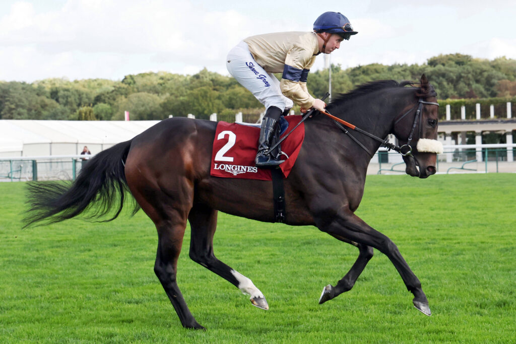 Carlisle tips