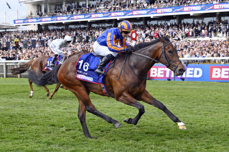True Love and Wayne Lordan winning the 1000 Guineas before the Coronation Stakes at Royal Ascot