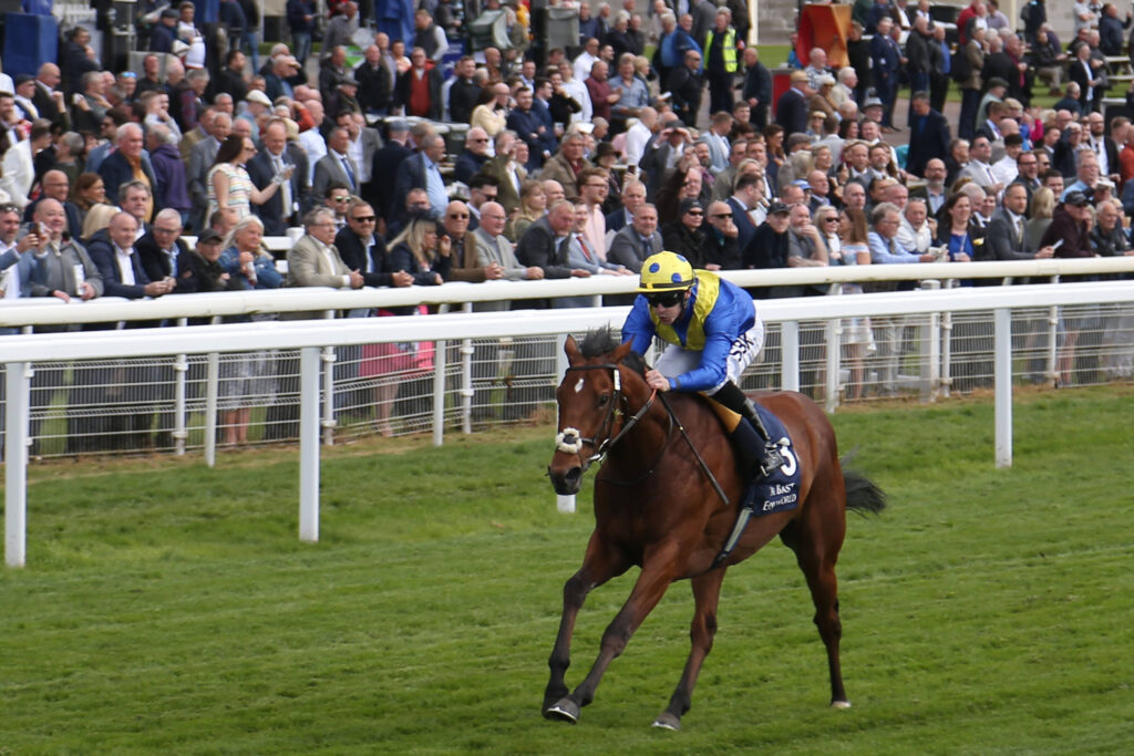 Dante Winners Derby