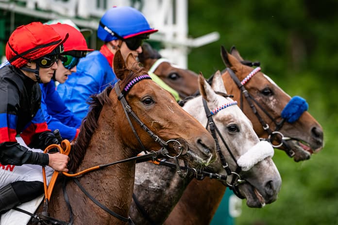 Charles Town Picks Today: Can Anyone Derail the Farrior Express?