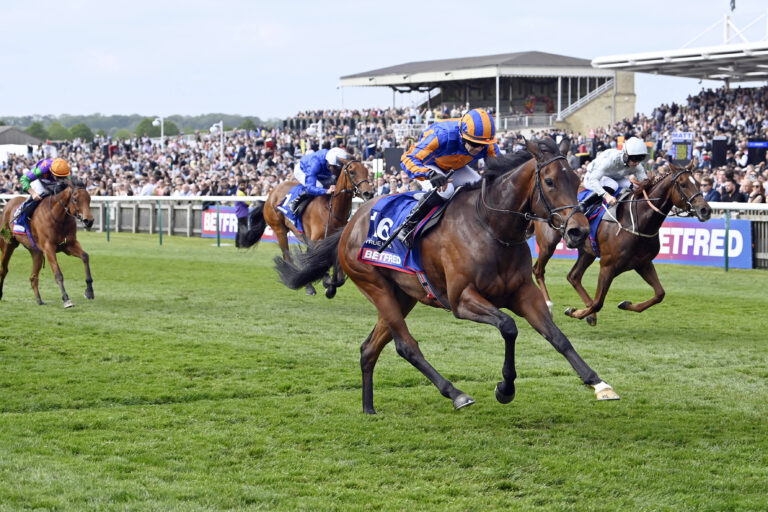 Irish 1000 Guineas Betting Odds: O’Brien Fillies Fighting For Favouritism