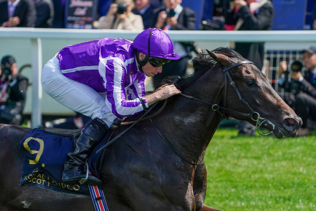 Irish 2000 Guineas betting Odds