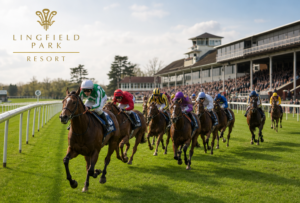 Lingfield Park Races