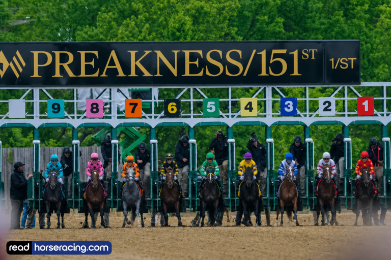 Preakness Stakes Runners 2026: Profiles and Post Positions For EVERY Laurel Park Runner