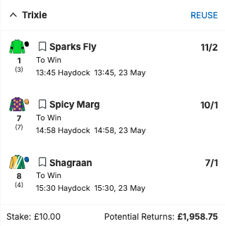Haydock Tips