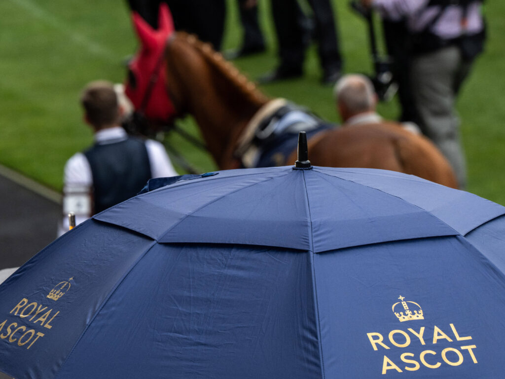 Wild Blossom Royal Ascot