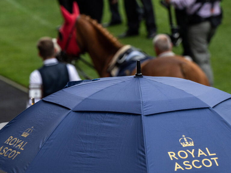 Wild Blossom Royal Ascot