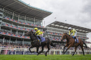 York Racecourse