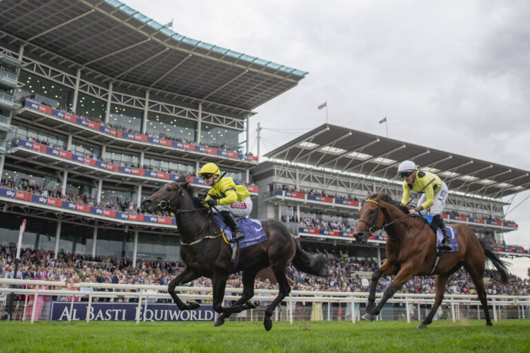 York Racecourse