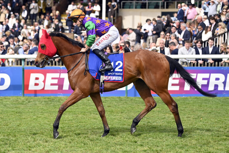 Newsboy Tips Record: Mirror and Mail Nap Same Beaten Favourite