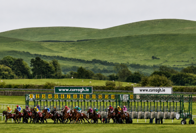 Runners on the straight course at the Curragh racecourse