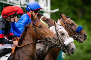 Flat racing action at an evening meeting
