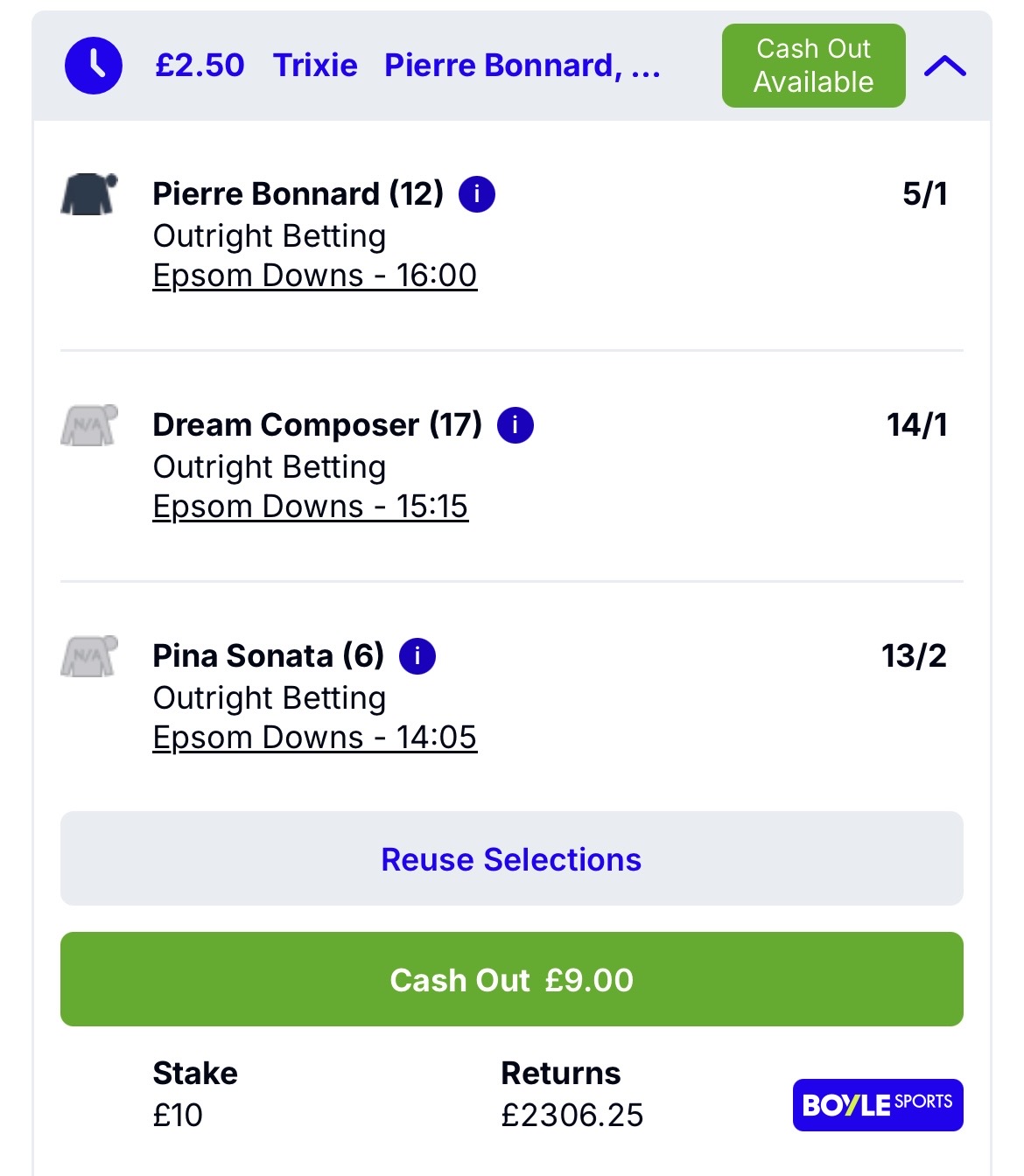 epsom tips