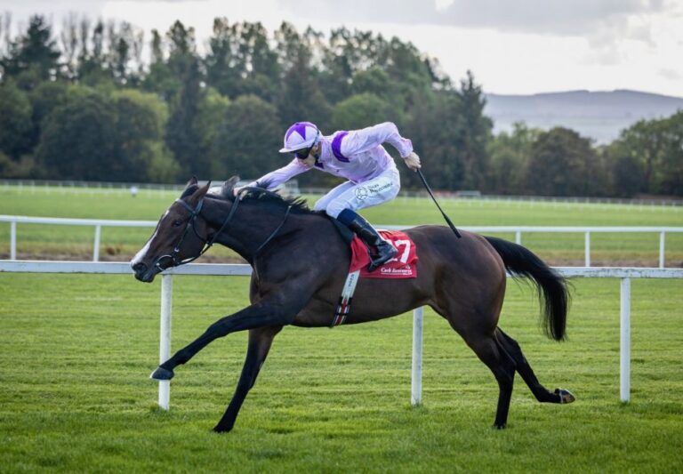 Navan Tips On Sunday 7th June 2026: O’Brien Filly To Bounce Back