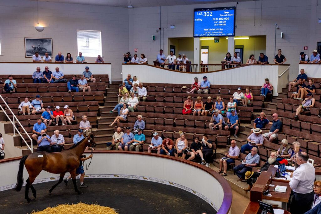 Walk The Talk in the Tattersalls Ireland Derby Sale ring after selling for 400,000 euros