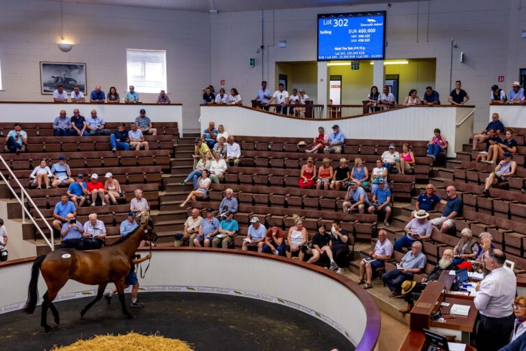 Walk The Talk in the Tattersalls Ireland Derby Sale ring after selling for 400,000 euros