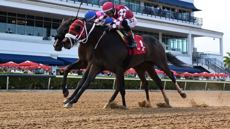 Winplaceandshow and Edwin Gonzalez winning the Azalea Stakes at Gulfstream Park. Photo: Ryan Thompson/Gulfstream Park.