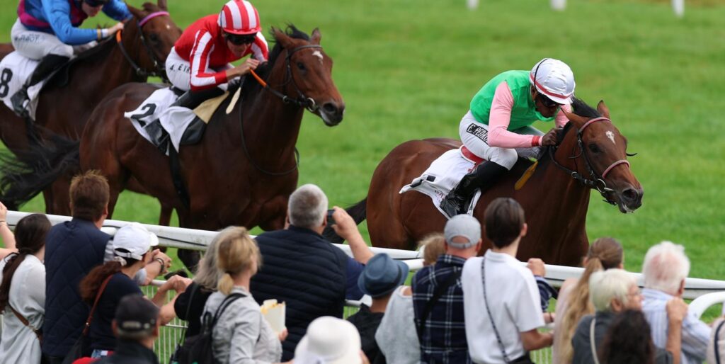 Gostam racing at Hamburg ahead of the German Derby field announcement