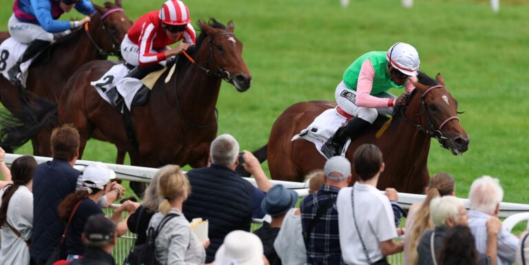 Gostam racing at Hamburg ahead of the German Derby field announcement