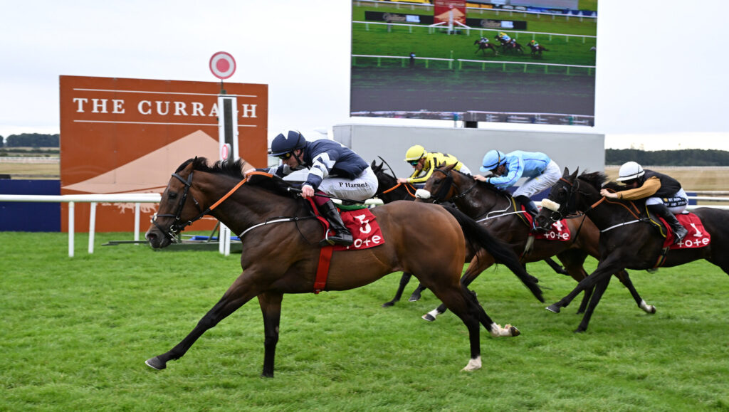Bellewstown Horse Racing