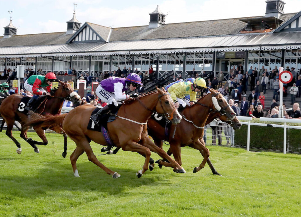 Musselburgh Racecourse