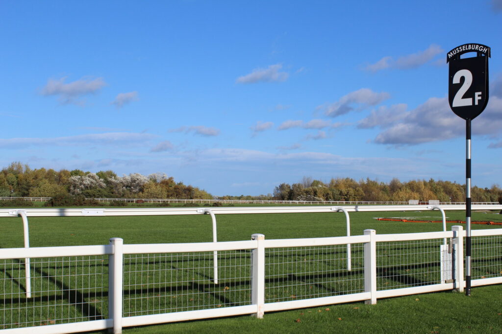 Runners racing on the turf at Musselburgh Racecourse, the subject of Tuesday's Musselburgh tips and Portobello Cup preview